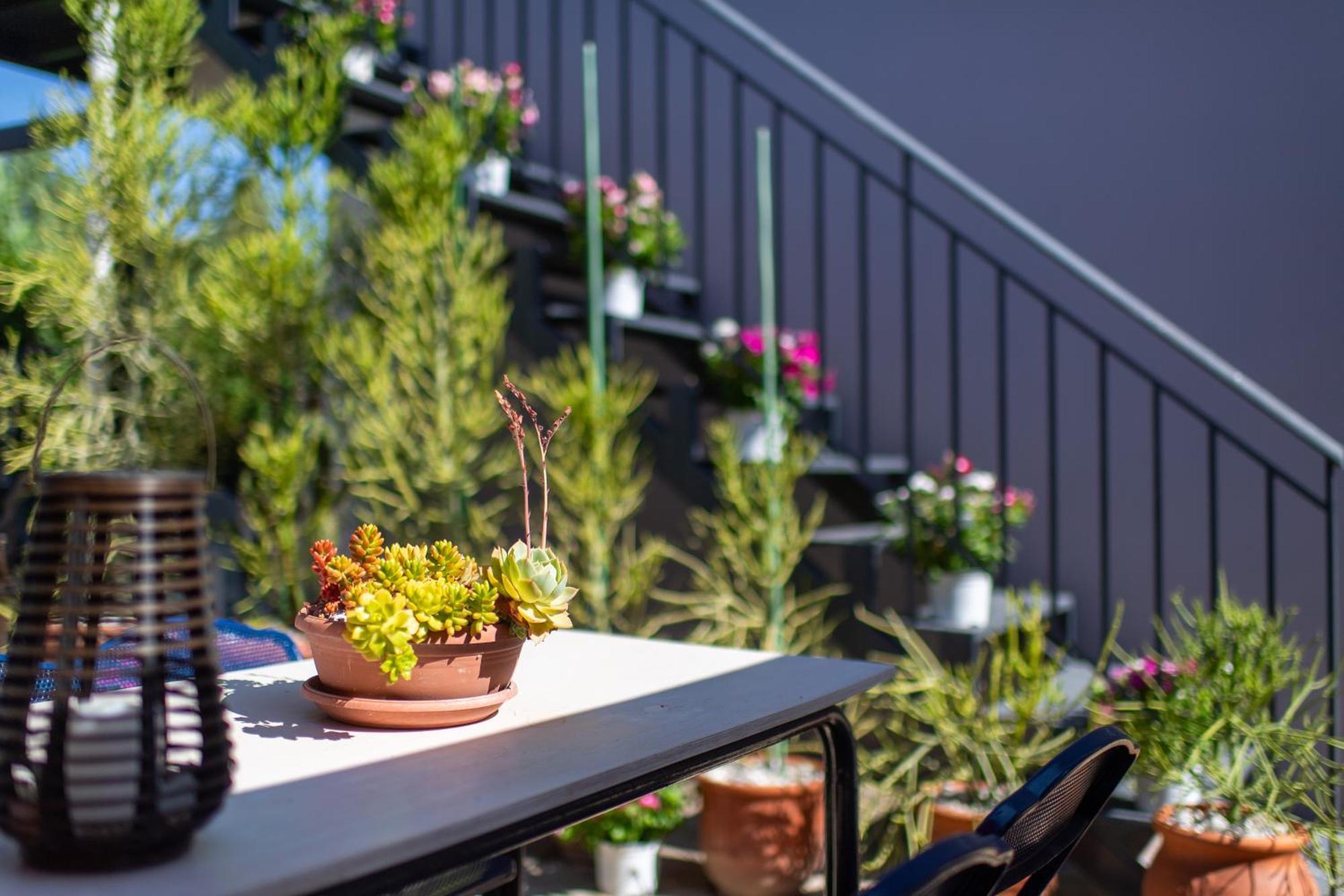Amarylis Apartments Elaionas  ห้อง รูปภาพ